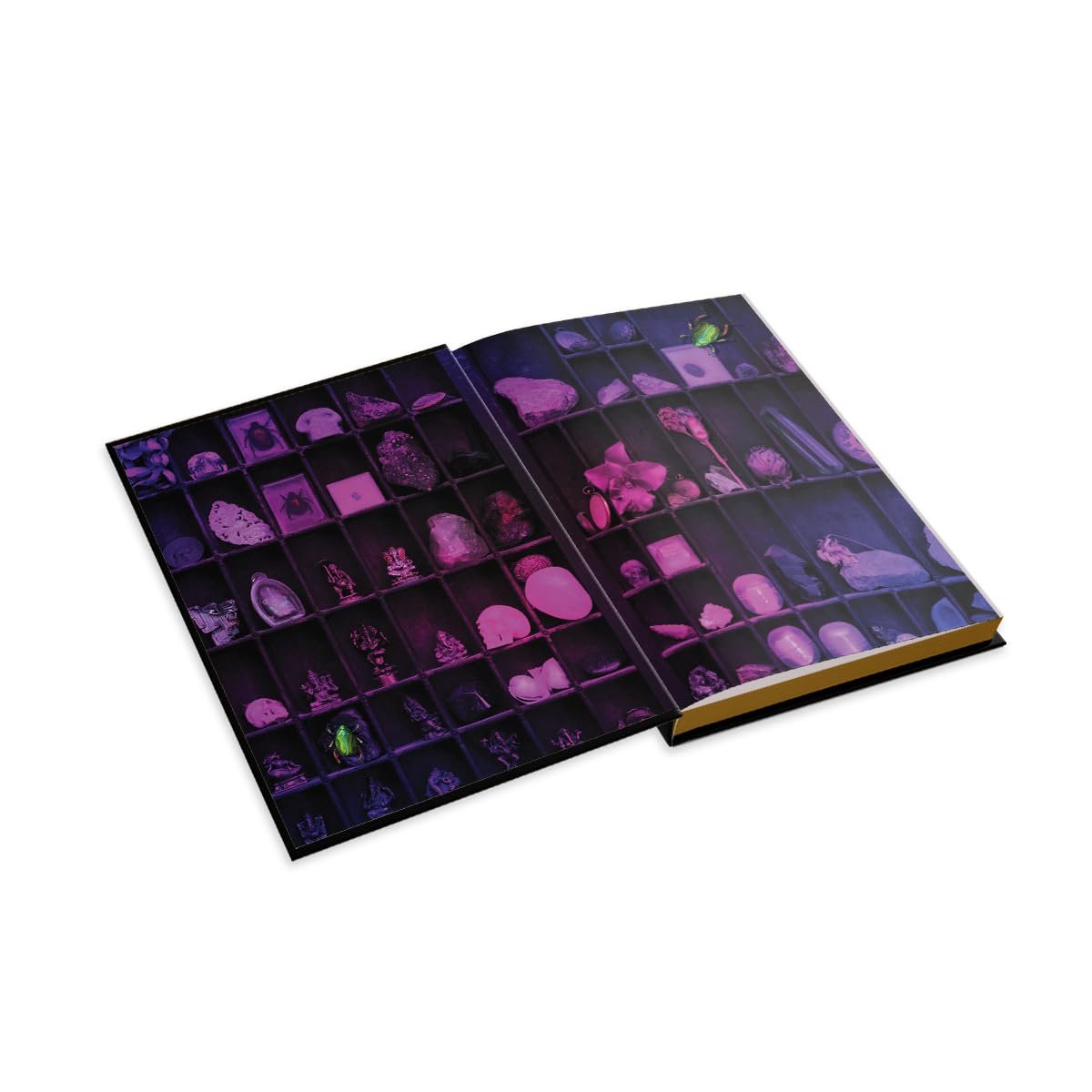 The Lost Apothecary Collector's Edition: A Novel