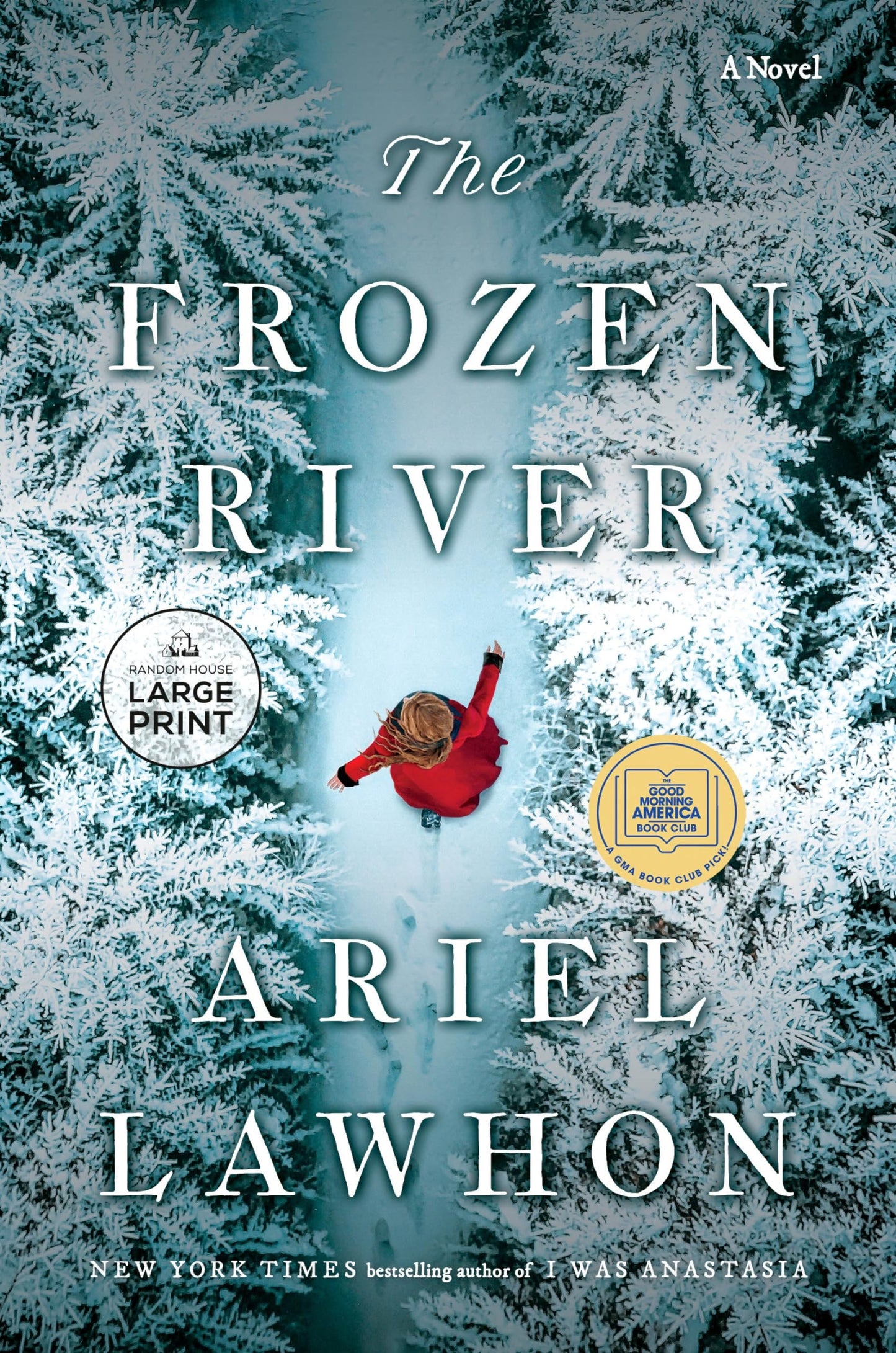 The Frozen River: A GMA Book Club Pick: A Novel - Myte Books