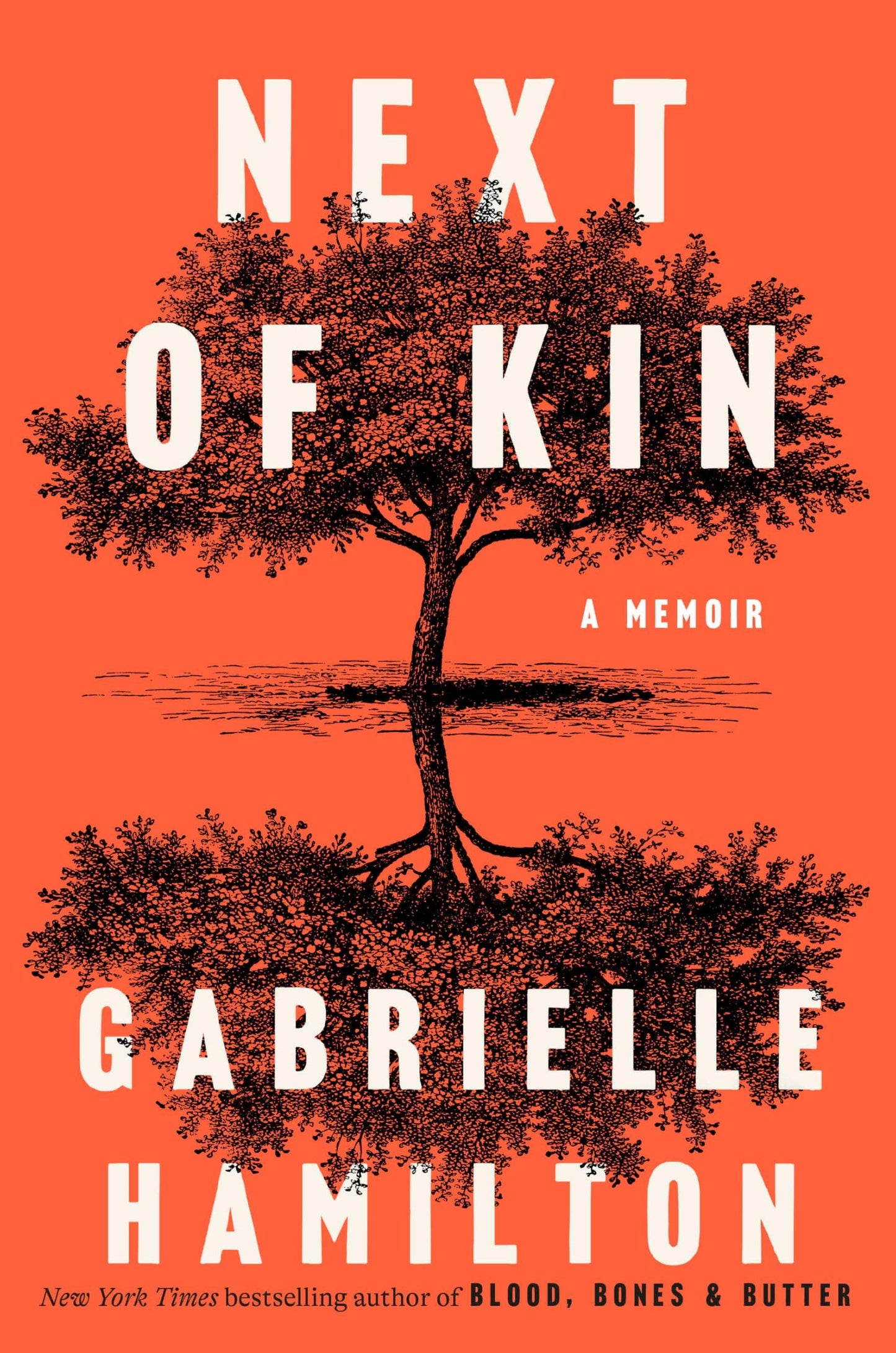 Next of Kin: A Memoir by Myte Books - Personal Journey Unveiled
