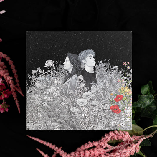 Myte Books Twilight Saga Deluxe Hardcover Collection - Complete Set