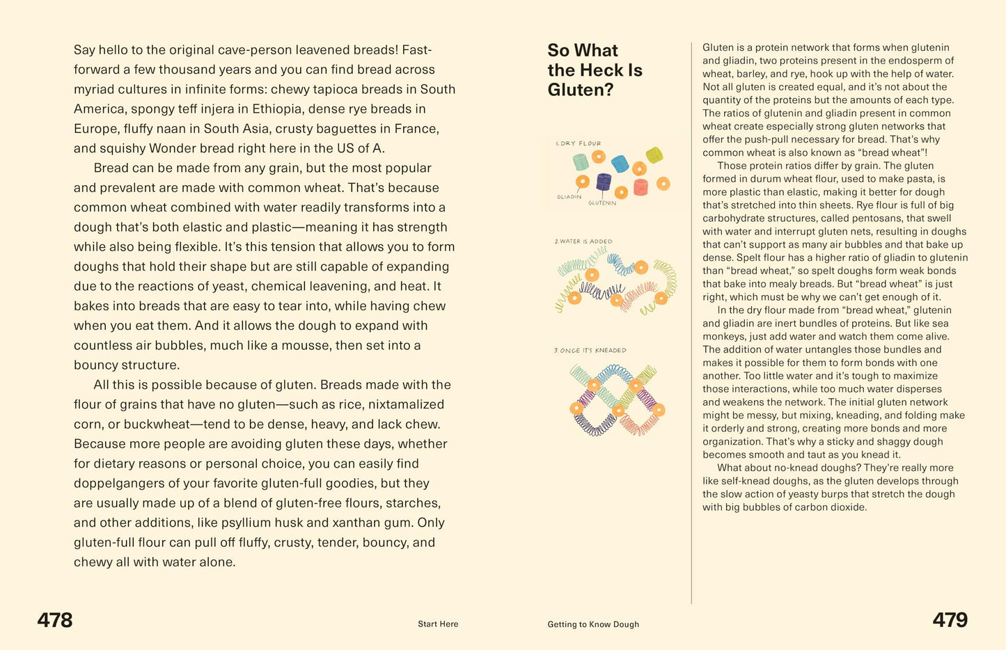 Start Here: Instructions for Becoming a Better Cook: A Cookbook