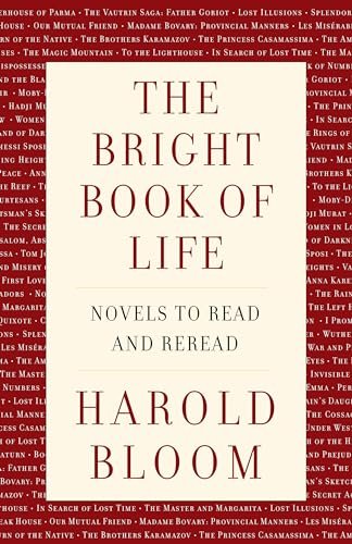 The Bright Book of Life: Novels to Read and Reread