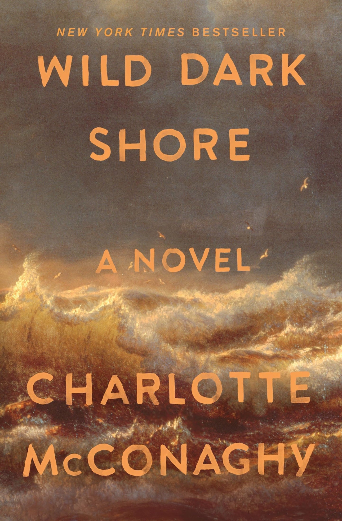 Wild Dark Shore: A Novel
