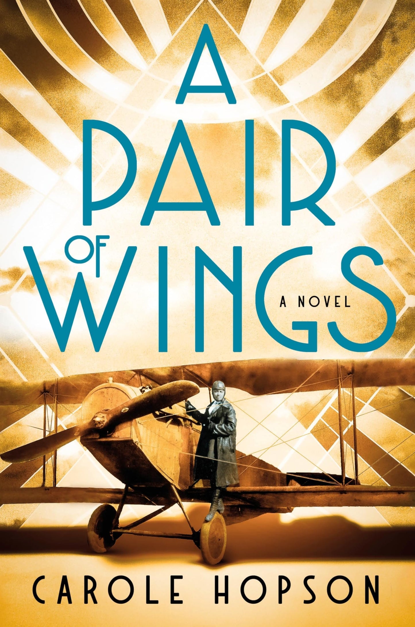 A Pair of Wings: A Novel - Myte Books