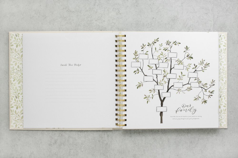 As You Grow: A Modern Memory Book for Baby (Heirloom Story Books and Guided Journals)