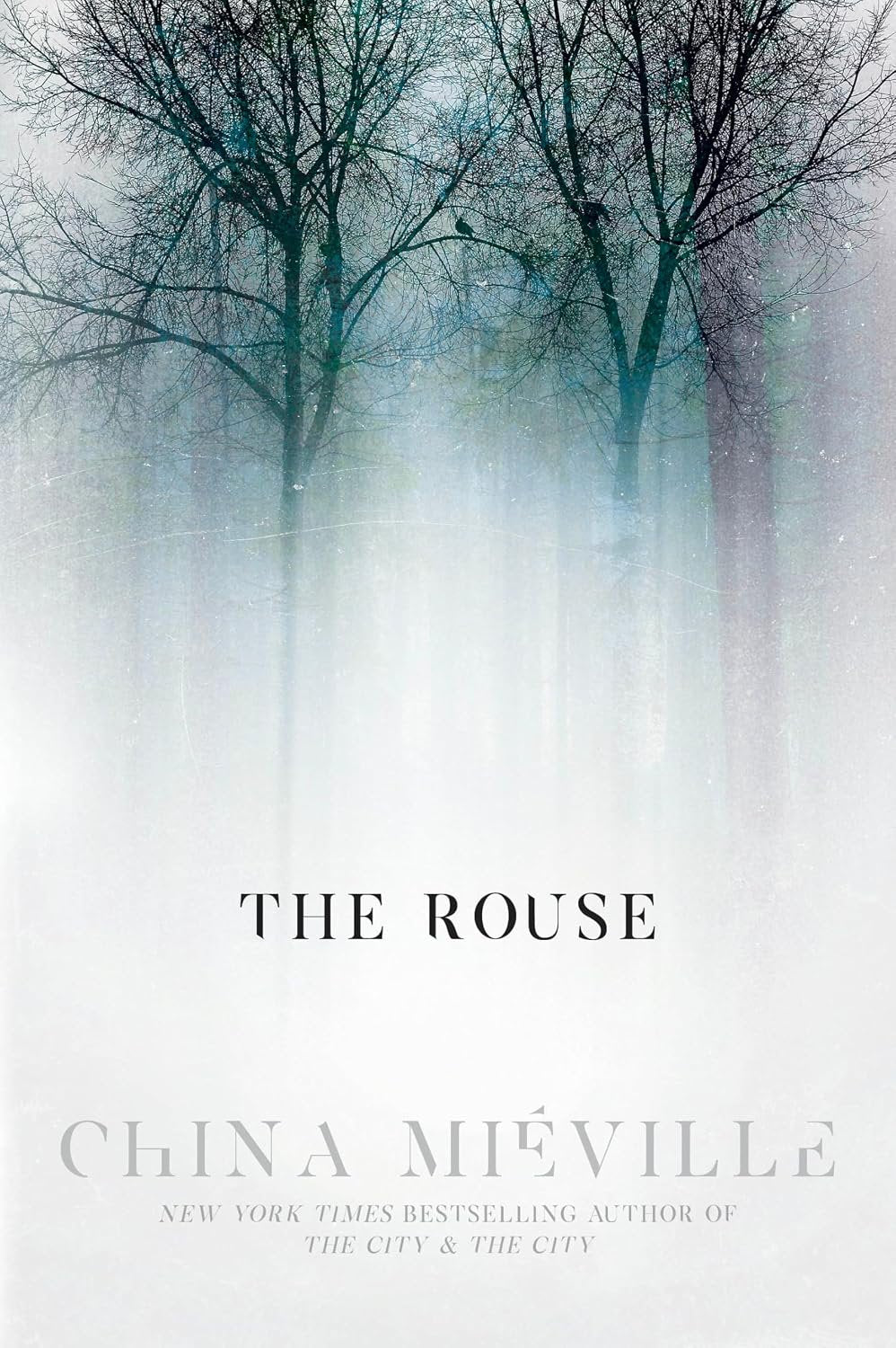 The Rouse