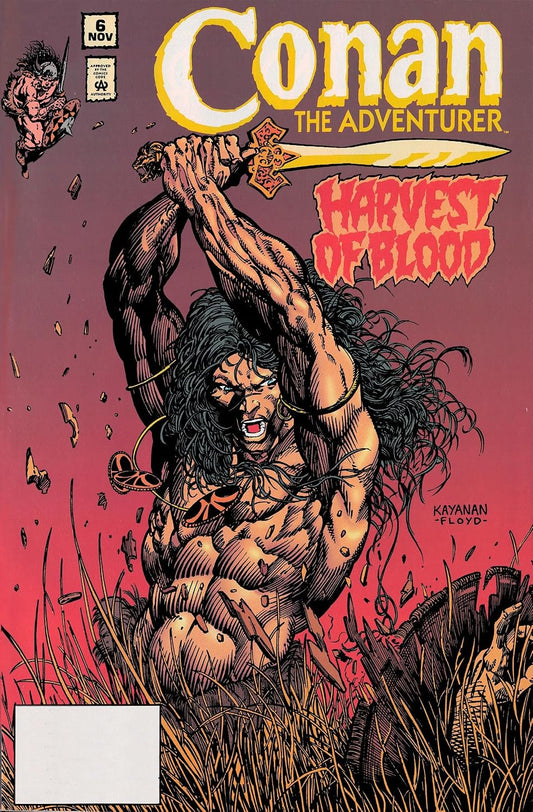 Conan the Adventurer: The Original Comics Years Omnibus Vol. 1 (CONAN THE BARBARIAN OMNIBUS)