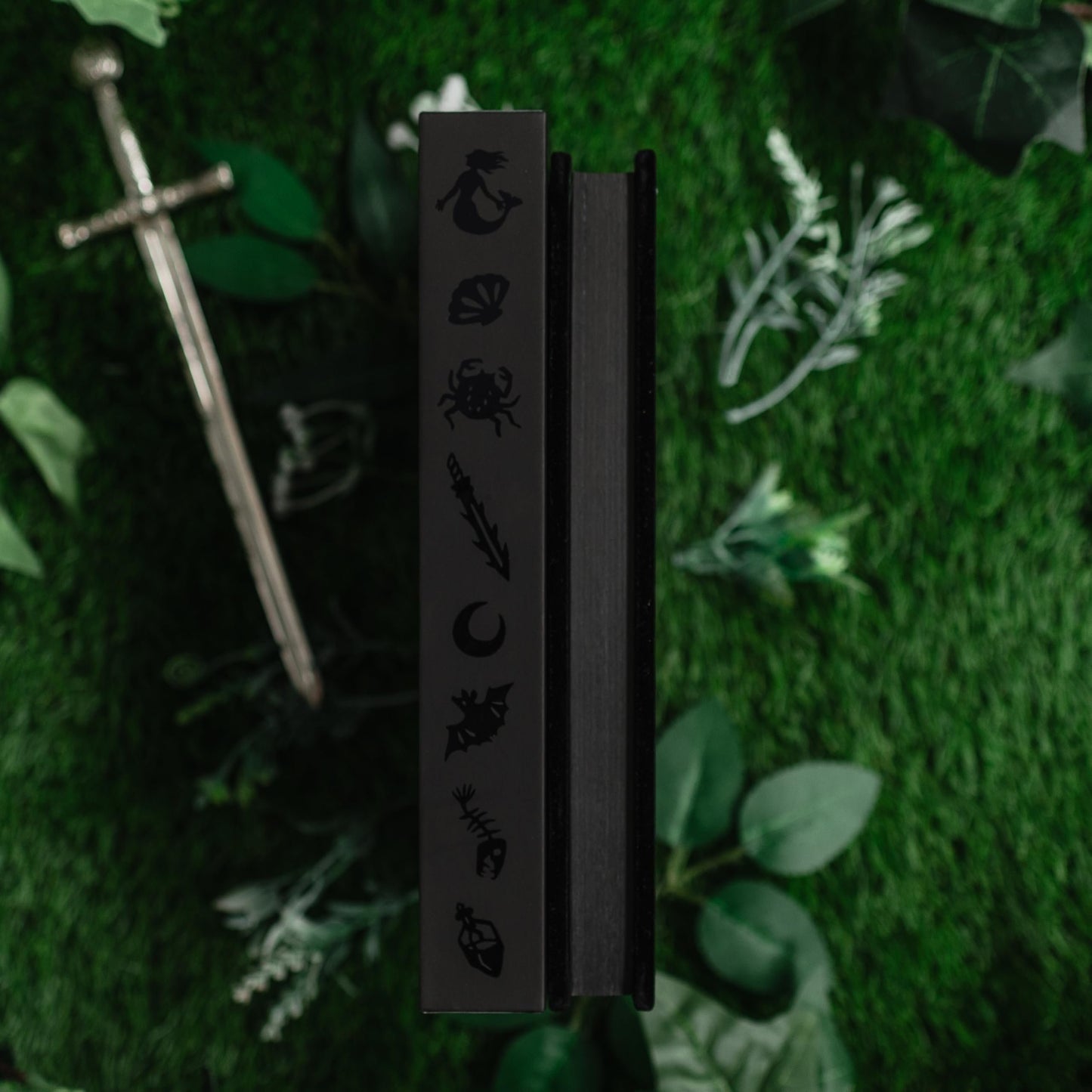 The Wicked King: Collector's Edition