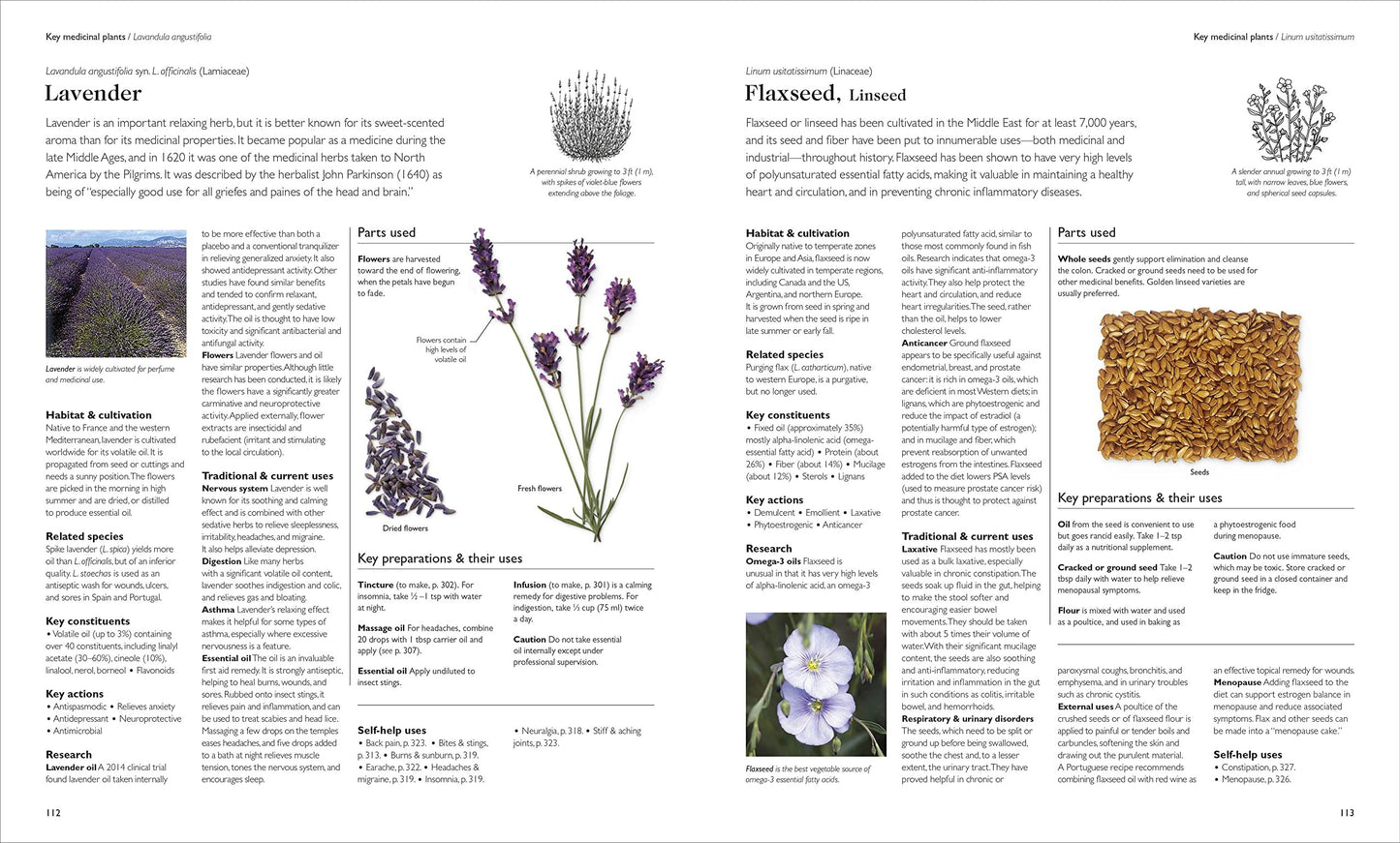 Encyclopedia of Herbal Medicine New Edition: 560 Herbs and Remedies for Common Ailments