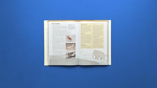 Atlas Obscura: Wild Life: An Explorer's Guide to the World's Living Wonders