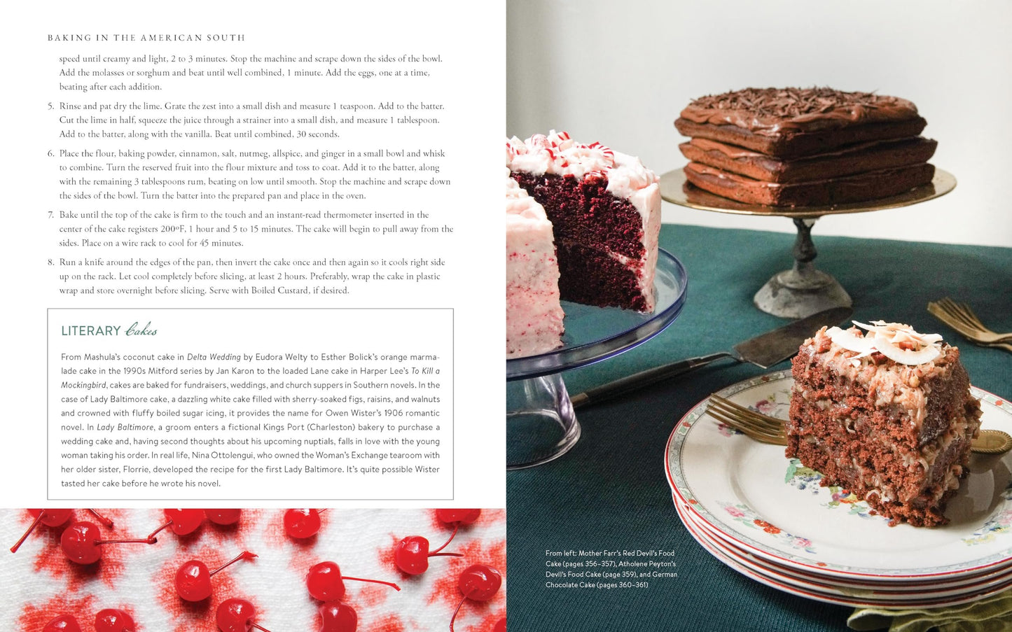 Baking in the American South: 200 Recipes and Their Untold Stories (A Definitive Guide to Southern Baking)