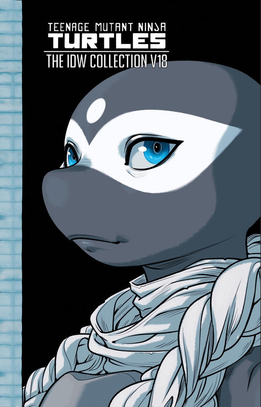 Teenage Mutant Ninja Turtles: The IDW Collection, Volume 18 (TMNT IDW Collection)