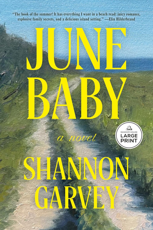 June Baby: A Novel (Thousand Voices)