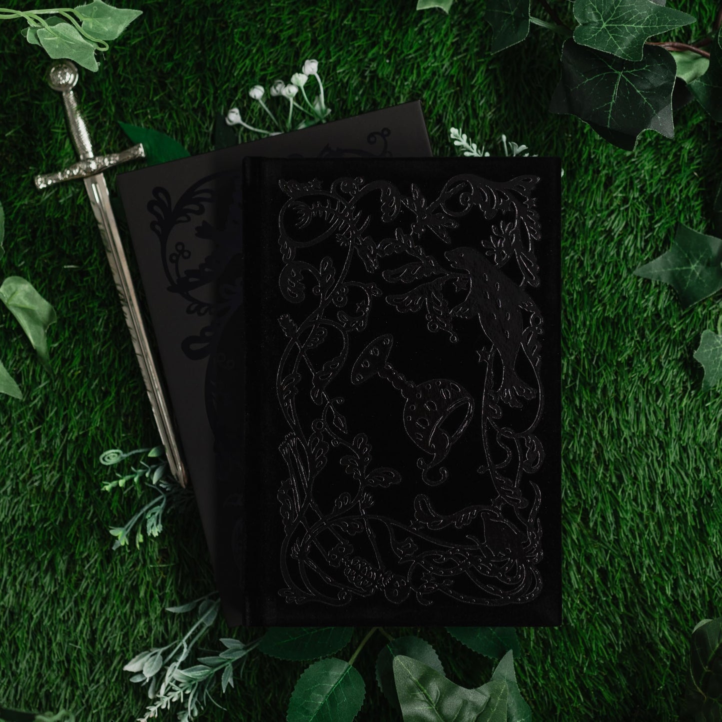 The Wicked King: Collector's Edition