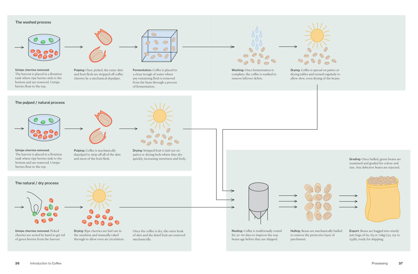 The World Atlas of Coffee 3rd edition: From beans to brewing – coffees explored, explained and enjoyed