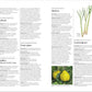 Encyclopedia of Herbal Medicine New Edition: 560 Herbs and Remedies for Common Ailments