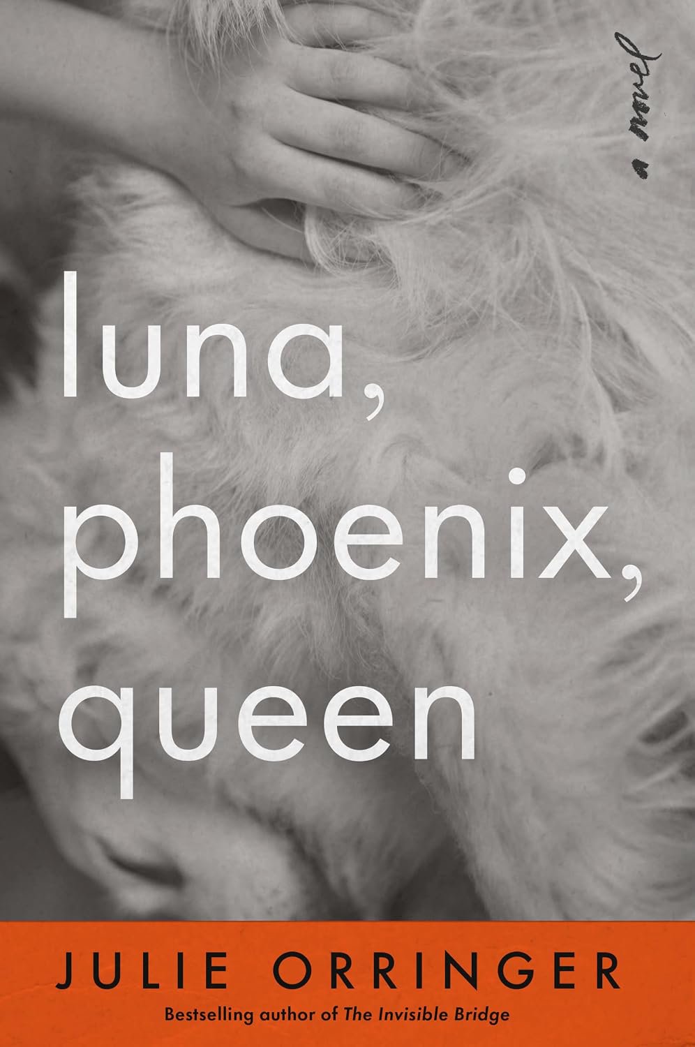 Luna, Phoenix, Queen: A Novel