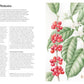 The World Atlas of Coffee 3rd edition: From beans to brewing – coffees explored, explained and enjoyed
